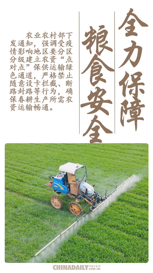 全球粮食安全挑战与应对策略