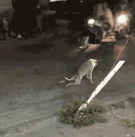 言论的边界与责任，管理言论之思考